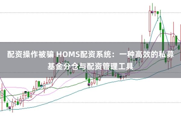 配资操作被骗 HOMS配资系统:一种高效的私募基金分仓与配资管理工具