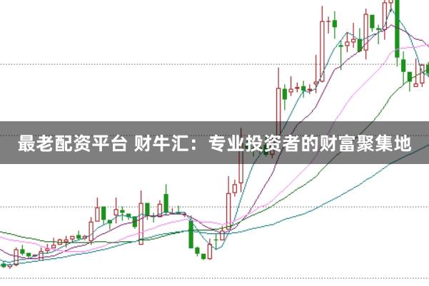 最老配资平台 财牛汇：专业投资者的财富聚集地