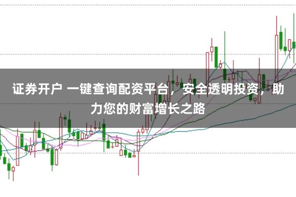 证券开户 一键查询配资平台，安全透明投资，助力您的财富增长之路