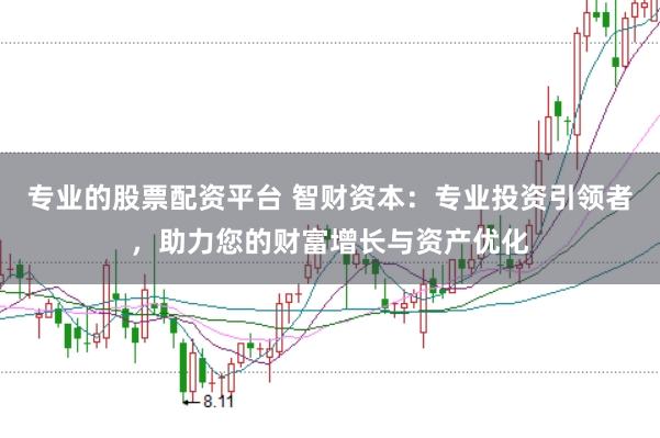 专业的股票配资平台 智财资本：专业投资引领者，助力您的财富增长与资产优化