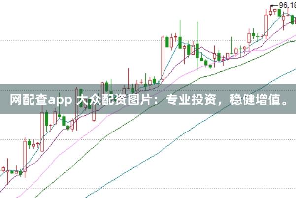 网配查app 大众配资图片:专业投资,稳健增值。
