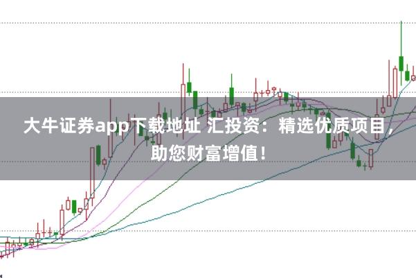 大牛证券app下载地址 汇投资：精选优质项目，助您财富增值！