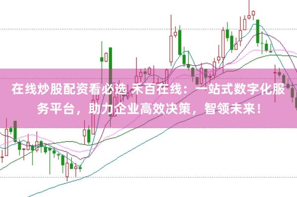 在线炒股配资看必选 禾百在线:一站式数字化服务平台,助力企业高效决策,智领未来!