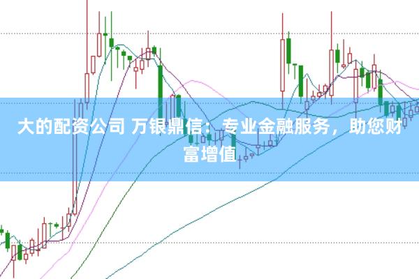 大的配资公司 万银鼎信：专业金融服务，助您财富增值