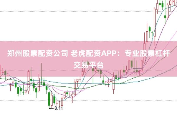 郑州股票配资公司 老虎配资APP：专业股票杠杆交易平台