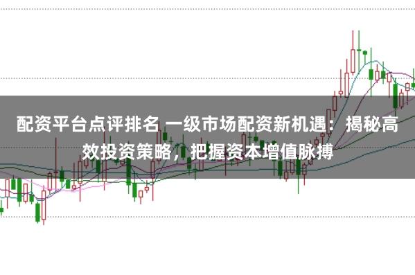 配资平台点评排名 一级市场配资新机遇：揭秘高效投资策略，把握资本增值脉搏