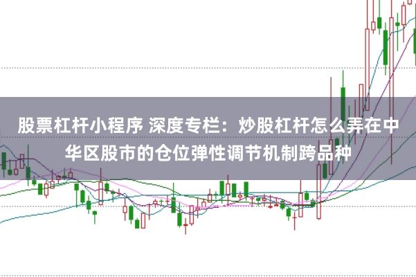 股票杠杆小程序 深度专栏：炒股杠杆怎么弄在中华区股市的仓位弹性调节机制跨品种