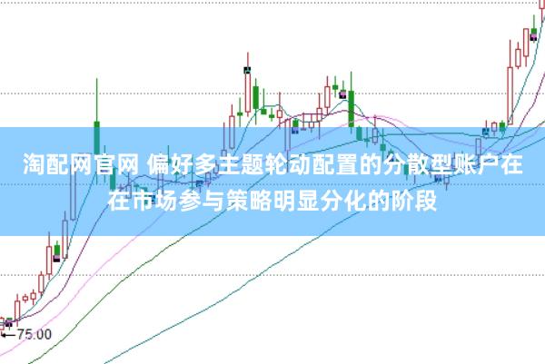 淘配网官网 偏好多主题轮动配置的分散型账户在在市场参与策略明显分化的阶段