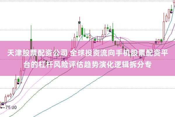 天津股票配资公司 全球投资流向手机股票配资平台的杠杆风险评估趋势演化逻辑拆分专