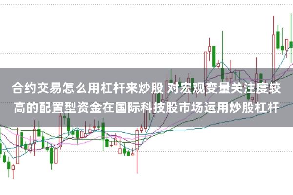 合约交易怎么用杠杆来炒股 对宏观变量关注度较高的配置型资金在国际科技股市场运用炒股杠杆