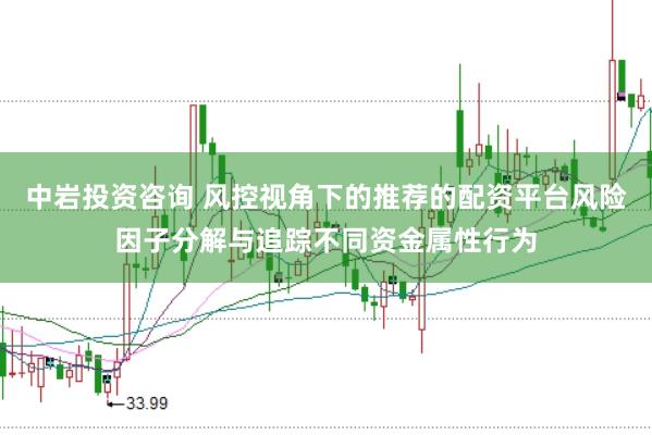 中岩投资咨询 风控视角下的推荐的配资平台风险因子分解与追踪不同资金属性行为