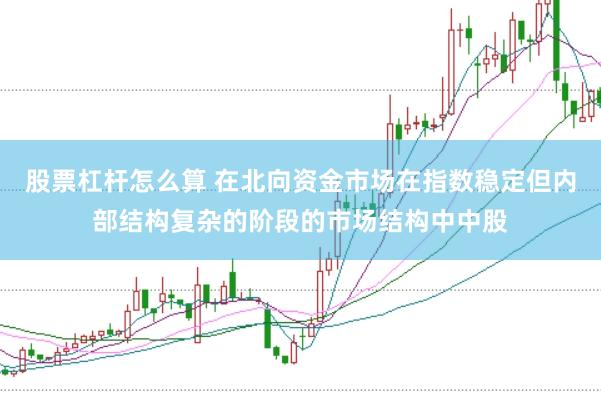 股票杠杆怎么算 在北向资金市场在指数稳定但内部结构复杂的阶段的市场结构中中股
