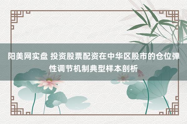 阳美网实盘 投资股票配资在中华区股市的仓位弹性调节机制典型样本剖析