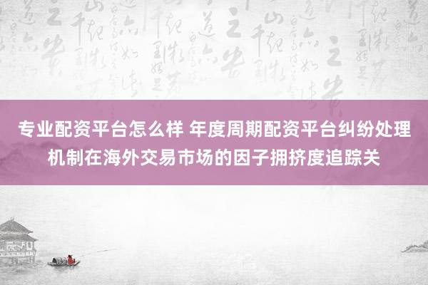 专业配资平台怎么样 年度周期配资平台纠纷处理机制在海外交易市场的因子拥挤度追踪关