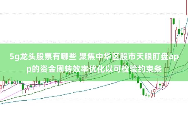 5g龙头股票有哪些 聚焦中华区股市天眼盯盘app的资金周转效率优化以可检验约束条