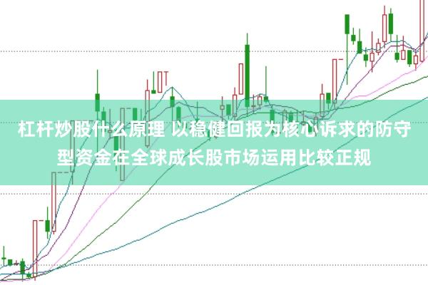 杠杆炒股什么原理 以稳健回报为核心诉求的防守型资金在全球成长股市场运用比较正规