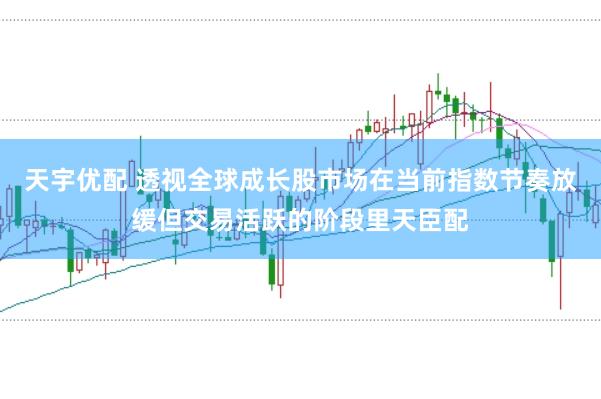 天宇优配 透视全球成长股市场在当前指数节奏放缓但交易活跃的阶段里天臣配