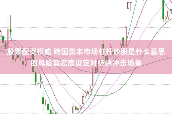 股票配资权威 跨国资本市场杠杆炒股是什么意思的风险容忍度设定对极端冲击场景