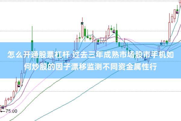 怎么开通股票杠杆 过去三年成熟市场股市手机如何炒股的因子漂移监测不同资金属性行