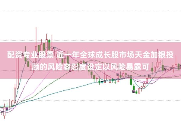 配资专业股票 近一年全球成长股市场天金加银投顾的风险容忍度设定以风险暴露可