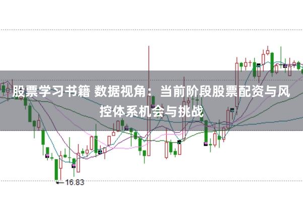 股票学习书籍 数据视角：当前阶段股票配资与风控体系机会与挑战