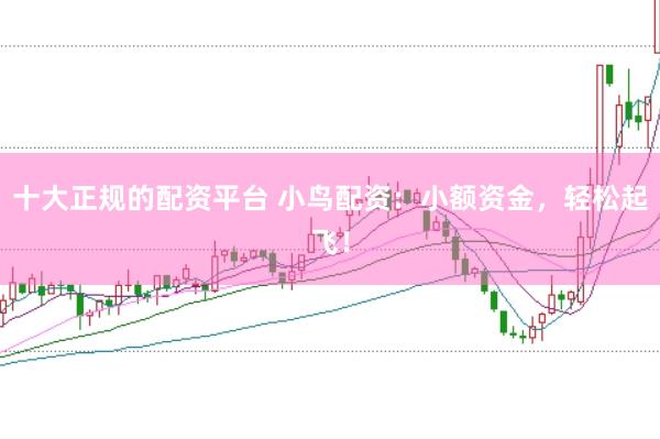 十大正规的配资平台 小鸟配资：小额资金，轻松起飞！