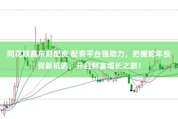 同花顺鑫东财配资 配资平台强助力，把握蛇年投资新机遇，开启财富增长之旅！