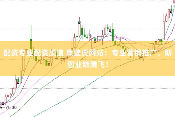 配资专业配资渠道 赢壁虎网站：专业营销推广，助您业绩腾飞！