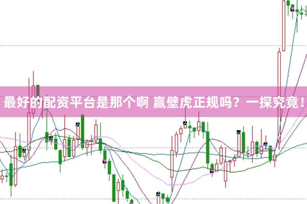 最好的配资平台是那个啊 赢壁虎正规吗？一探究竟！