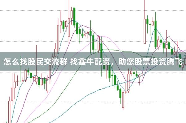 怎么找股民交流群 找鑫牛配资，助您股票投资腾飞