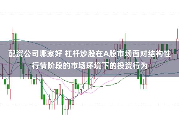 配资公司哪家好 杠杆炒股在A股市场面对结构性行情阶段的市场环境下的投资行为