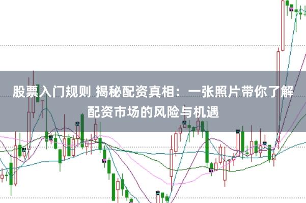股票入门规则 揭秘配资真相：一张照片带你了解配资市场的风险与机遇