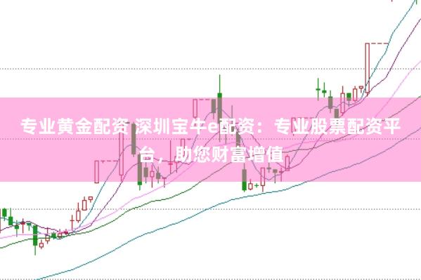 专业黄金配资 深圳宝牛e配资：专业股票配资平台，助您财富增值
