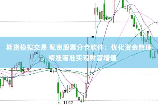 期货模拟交易 配资股票分仓软件：优化资金管理，精准瞄准实现财富增值