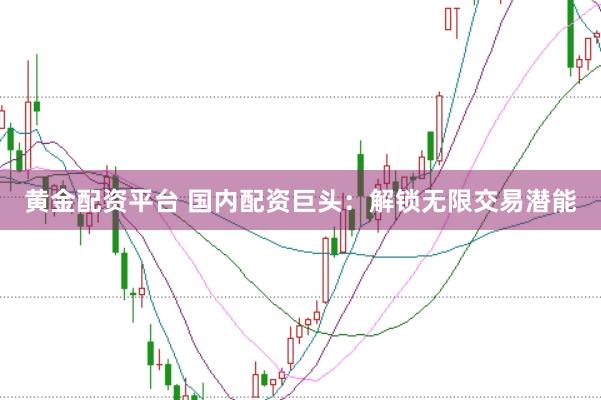 黄金配资平台 国内配资巨头：解锁无限交易潜能